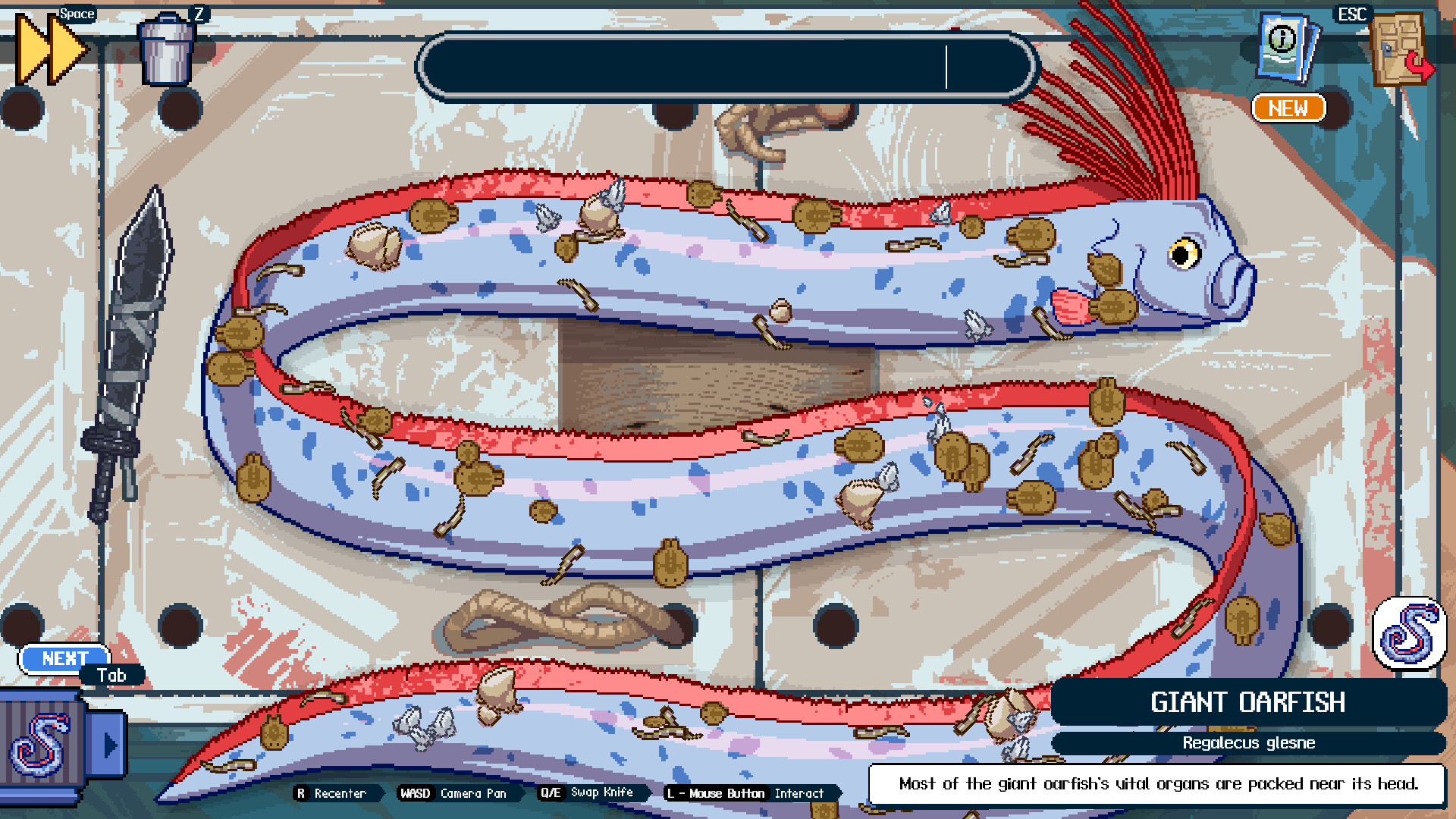 Scale the Depths screenshot